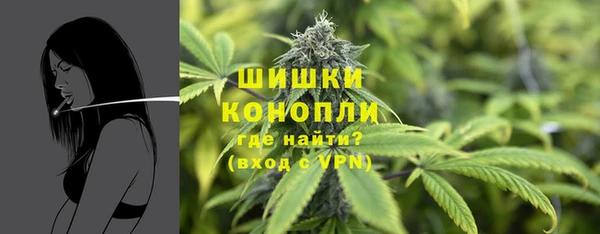 амф Медногорск