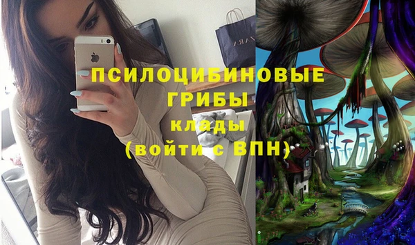 амф Медногорск